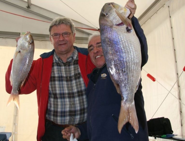 Pesca en Campello